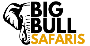 Big Bull Safaris
